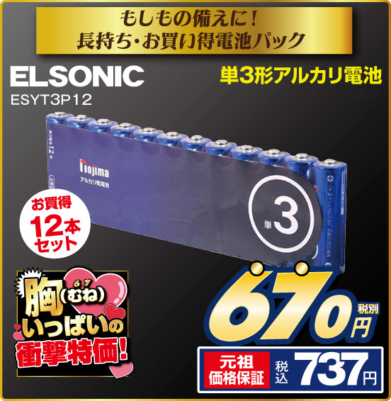 もしもの備えに！ 長持ち・お買い得電池パック 単3形アルカリ電池 ELSONIC ESYT3P12 お買得12本セット 税別670円 元祖価格保証 税込737円